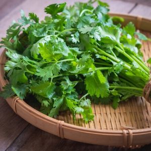 Cilantro: Sabor, Ciencia y la «Hierba de la Discordia»